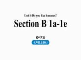 人教新目标七年级英语上册--Unit6第三课时（Section B1a-1e）（精品课件）