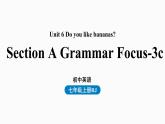 人教英语七年级上Unit6第二课时 Section A Grammar Focus-3c（精品课件）