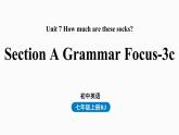 人教英语七年级上Unit7第二课时Section A Grammar Focus-3c（精品课件）