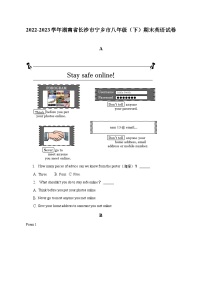 2022-2023学年湖南省长沙市宁乡市八年级（下）期末英语试卷（含解析）