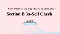 人教新目标 (Go for it) 版八年级下册Unit 5 What were you doing when the rainstorm came?Section B精品ppt课件