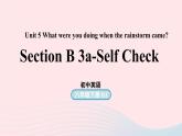 Unit5 What were you doing when the rainstorm came第6课时SectionB3a_SelfCheck课件（人教新目标版）