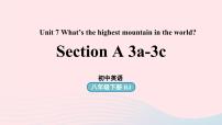 初中英语人教新目标 (Go for it) 版八年级下册Section A优秀ppt课件