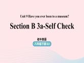 Unit9 Have you ever been to a museum第6课时SectionB 3a-Self check课件（人教新目标版）