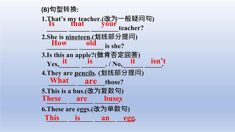 Unit 1 Making new friends Topic 3 How old are you？Section D -2022-2023学年初中英语仁爱版七年级上册同步课件07