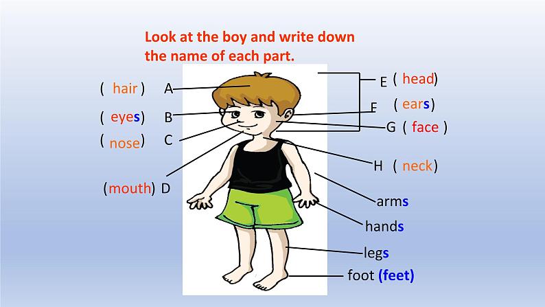 Unit 2 Looking different Topic 1 I have a small nose Section B-2022-2023学年初中英语仁爱版七年级上册同步课件06