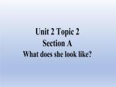 Unit 2 Looking different Topic 2 What does she look like？Section A-2022-2023学年初中英语仁爱版七年级上册同步课件