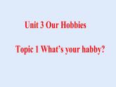Unit 3 Our Hobbies Topic 1-2022-2023学年初中英语仁爱版八年级上册课件