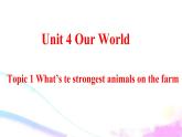 Unit 4 Our World Topic 1-2022-2023学年初中英语仁爱版八年级上册课件