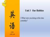 【单元一遍过】Unit 3 Our Hobbies Topic 3-2022-2023学年初中英语仁爱版八年级上册复习课件