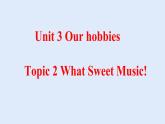 Unit 3 Our Hobbies Topic 2-2022-2023学年初中英语仁爱版八年级上册课件