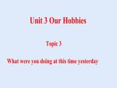 Unit 3 Our Hobbies Topic 3-2022-2023学年初中英语仁爱版八年级上册课件