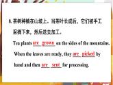Unit 5 Section A Grammar Focus-4c   人教九英上【课件+教案】