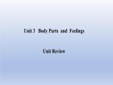 Unit 3 Body Parts and Feelings Unit Review-2022-2023学年初中英语冀教版七年级上册同步课件