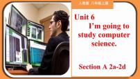 初中英语人教新目标 (Go for it) 版八年级上册Section A完美版教学作业课件ppt