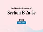 Unit2 How often do you exercise第4课时SectionB2a-2e课件（人教新目标版）