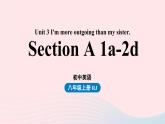 Unit3 I'm more outgoing than my sister第1课时sectionA1a-2d课件（人教新目标版）