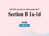 Unit5 Do you want to watch a game show第3课时SectionB1a-1d课件（人教新目标版）