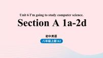 初中英语人教新目标 (Go for it) 版八年级上册Section A优秀课件ppt