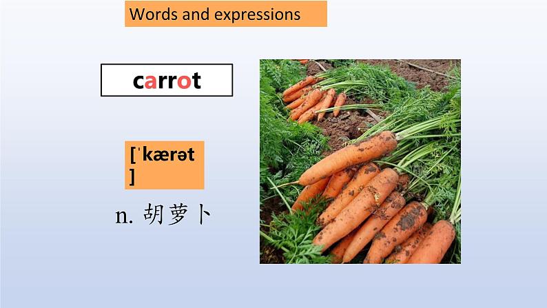 Module 4 Healthy food Unit 1-2022-2023学年初中英语外研版七年级上册课件06