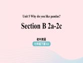 Unit5 Why do you like pandas第4课时SectionB 2a-2c课件（人教新目标版）