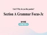 Unit5 Why do you like pandas第2课时SectionAGrammarFocus_3c课件（人教新目标版）