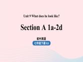 Unit9 What does he look like第1课时SectionA 1a-2d课件（人教新目标版）