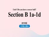 Unit5 Do you have a soccer ball第三课时SectionB1a-1d课件（人教新目标版）