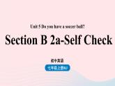 Unit5 Do you have a soccer ball第四课时SectionB2a-Self Check课件（人教新目标版）