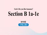 Unit6 Do you like bananas第三课时SectionB1a-1e课件（人教新目标版）