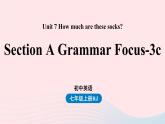 Unit7 How much are these socks第二课时SectionAGrammarFocus_3c课件（人教新目标版）
