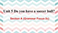 人教新目标 (Go for it) 版七年级上册Unit 5 Do you have a soccer ball?Section A教课课件ppt