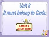 人教版英语九年级Unit8 Section B2（课件PPT+音视频素材）