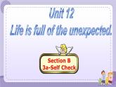 人教版英语九年级Unit12 Section B2（课件PPT+音视频素材）