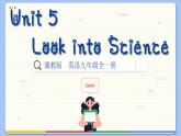 冀教版英语九年级Lesson 25  Let’s Do an Experiment !（课件PPT）