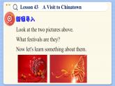 冀教版英语九年级Lesson 43  A Visit to Chinatown（课件PPT）
