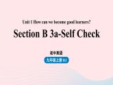 Unit1 How can we become good learners第6课时SectionB3a_selfcheck课件（人教新目标版）