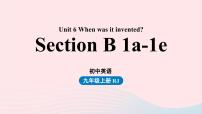 初中人教新目标 (Go for it) 版Section B获奖ppt课件