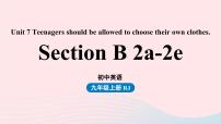 初中人教新目标 (Go for it) 版Unit 7 Teenagers should be allowed to choose their own clothes.Section B优质课件ppt