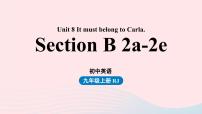 人教新目标 (Go for it) 版九年级全册Section B一等奖ppt课件