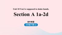 初中英语人教新目标 (Go for it) 版九年级全册Unit 10 You’re supposed to shake hands.Section A优秀ppt课件