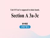 Unit10 You’re supposed to shake hands第2课时SectionA 3a-3c课件（人教新目标版）