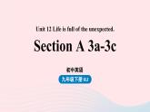Unit12 Life is full of the unexpected第2课时SectionA 3a-3c课件（人教新目标版）