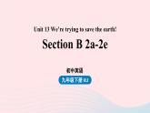 Unit13 We’re trying to save the earth第5课时SectionB2a-2e课件（人教新目标版）
