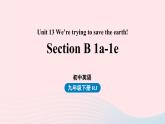 Unit13 We’re trying to save the earth第4课时SectionB1a-1e课件（人教新目标版）