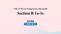 人教新目标 (Go for it) 版九年级全册Unit 13 We’re trying to save the earth!Section B获奖ppt课件