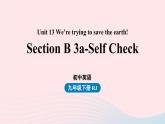 Unit13 We’re trying to save the earth第6课时SectionB3a_SelfCheck课件（人教新目标版）