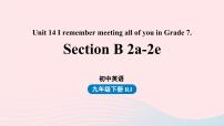 初中英语人教新目标 (Go for it) 版九年级全册Section B精品课件ppt