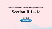 人教新目标 (Go for it) 版九年级全册Section B精品课件ppt