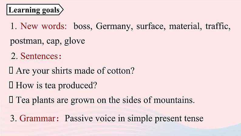 Unit5 What are the shirts made of第3课时GrammarFocus_4c课件（人教新目标版）第2页